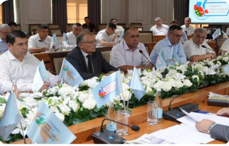 Деятельность